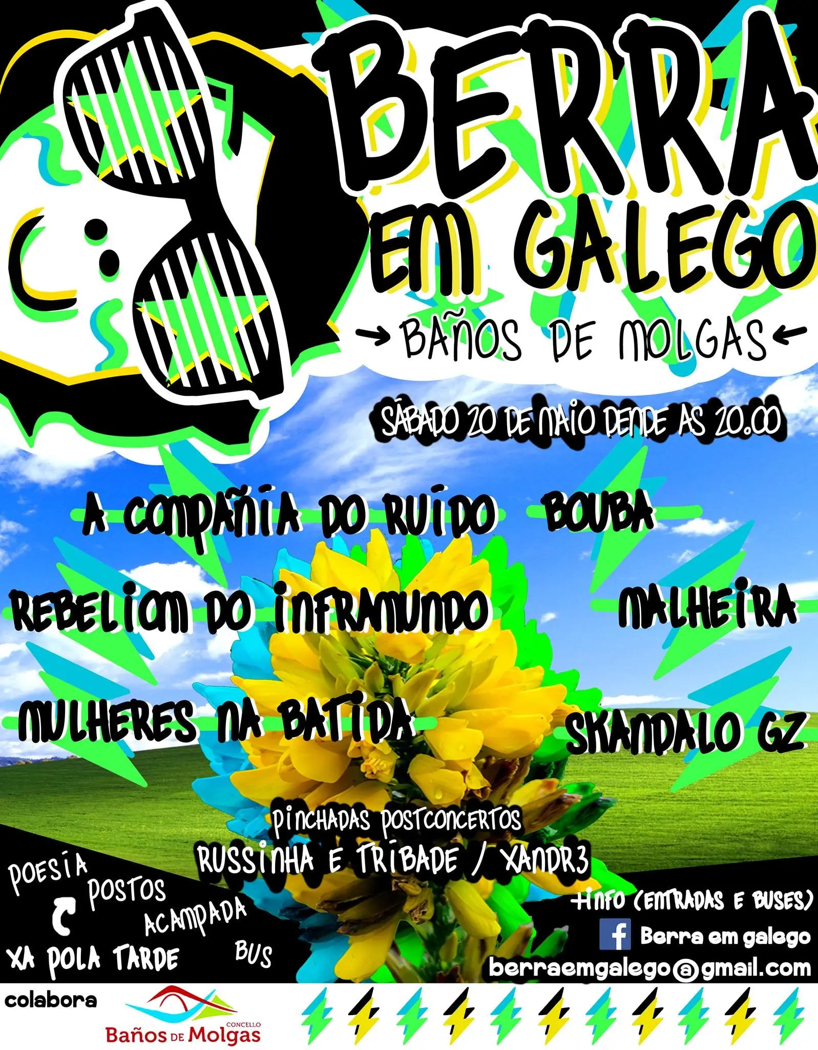 Cartel: Berra en Galego, Baños de Molgas